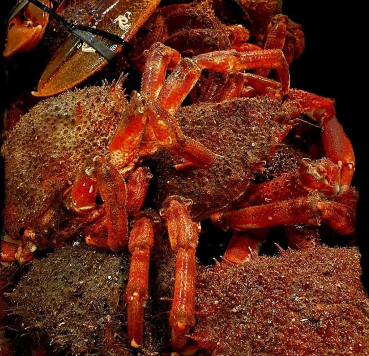 La Castañal